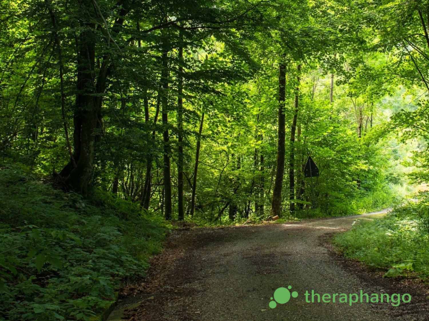 Die Heilerde aus dem Vulkanland: Natürliche Heilkraft seit 13 Millionen Jahren